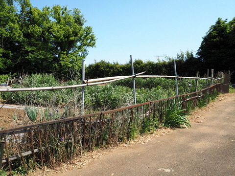 P5024072