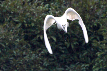 DSC04583[1]
