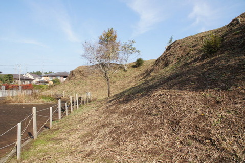 DSC06504