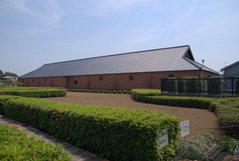 ���Ļ���