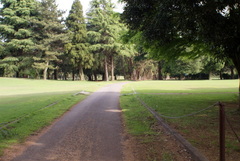 DSC05018