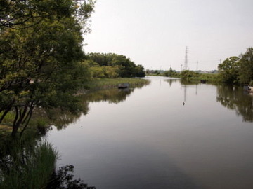P6022141