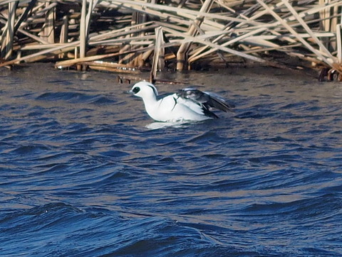 2e5d375c