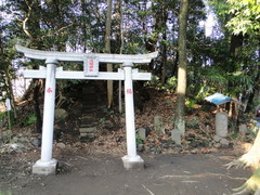 DSC01655