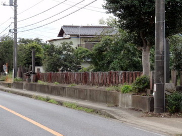 DSC00534-1