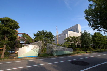 DSC03905-1