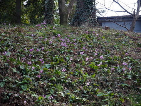 P3283880
