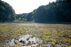 DSC03010