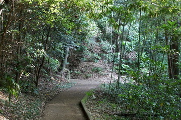DSC03875