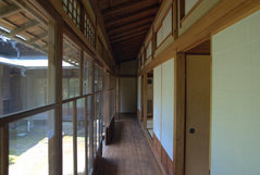 ���Ļ���