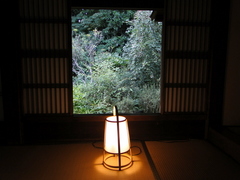 DSC00780