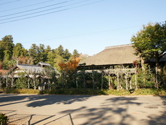DSC01611-1