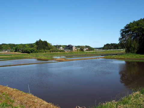 P5024086