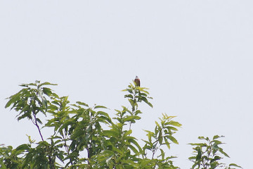 DSC03943-1[1]