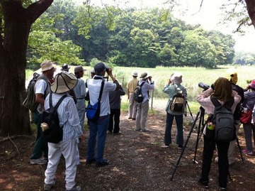 写真 2011-06-05 10 59 03