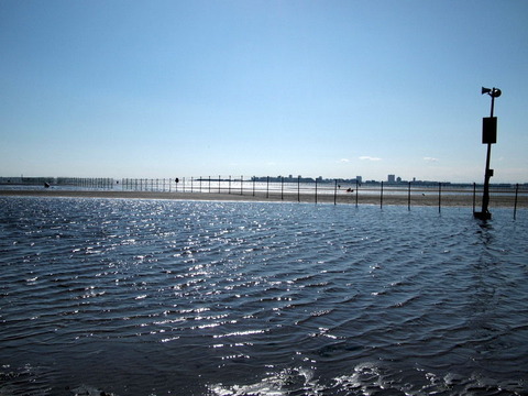 P3225390