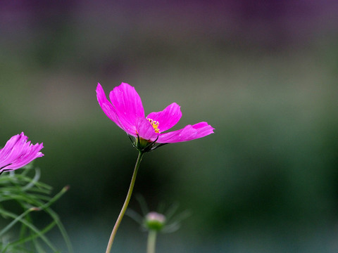 P7052306[1]