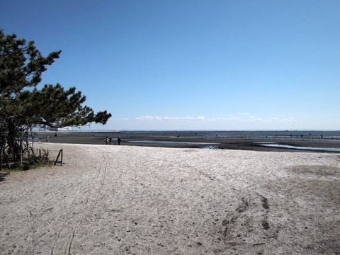 P3225358
