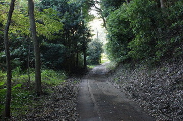 DSC04326