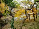 5316b1f5.jpg