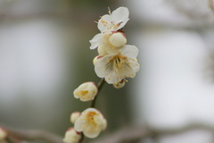 DSC02291