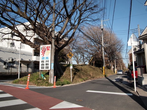 P3225480-001