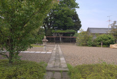 ���Ļ���