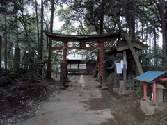 DSC01685