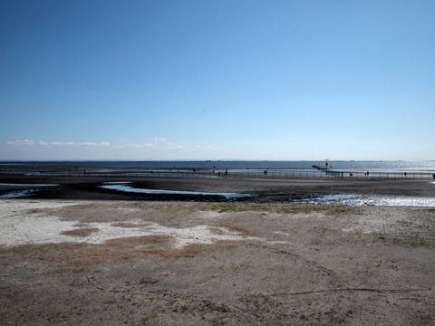 P3225357
