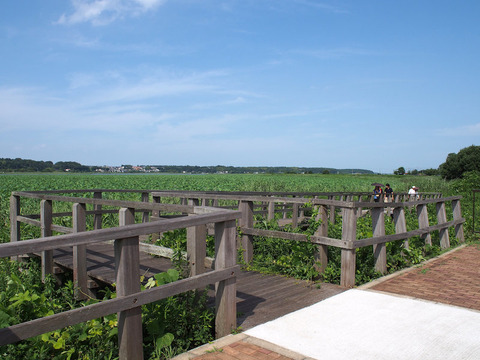 P7122340[1]