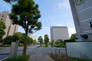 DSC03908
