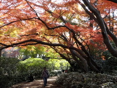 DSC01237