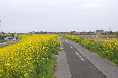 DSC06349