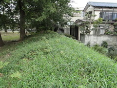江戸川台の土手