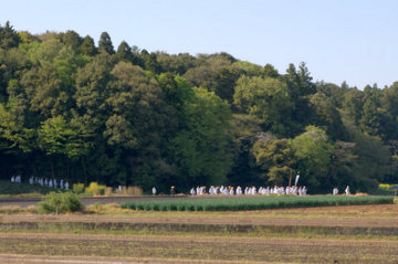 DSC03008