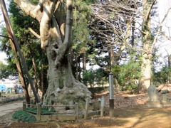 DSC01542