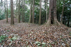 DSC02191