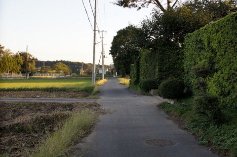 DSC04309