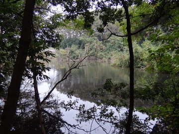 DSC00941-1