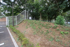 DSC04480