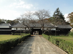 DSC01148