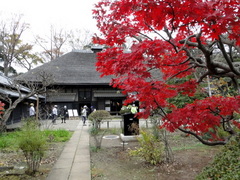 DSC01309