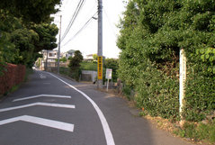 一茶の道