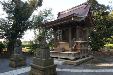 DSC04366
