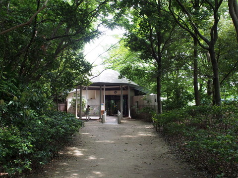 P5233388