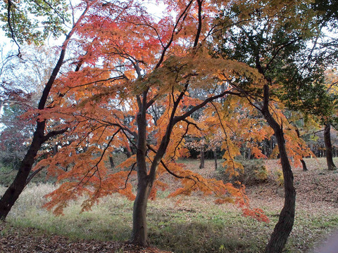 PC065587-001[1]