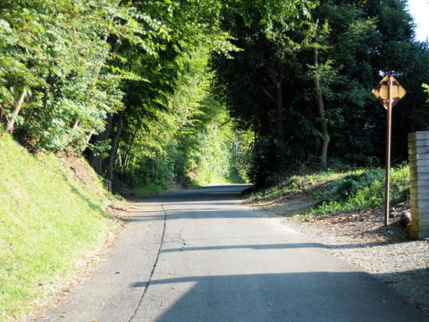 P7261860