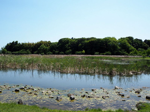 P5024062