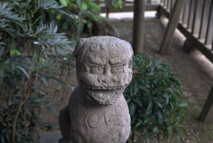 ���Ļ���