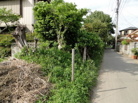 野馬土手は泣いている : 小金牧 野馬土手は泣いている